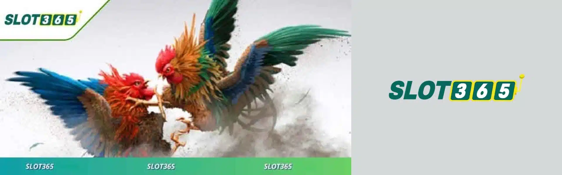 slot365 - Trang Chủ Chính Thức của Đế chế Casino Trực Tuyến Việt Nam banner-slot365