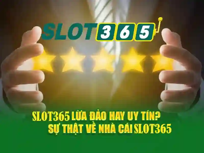 Giao diện và trải nghiệm người dùng
