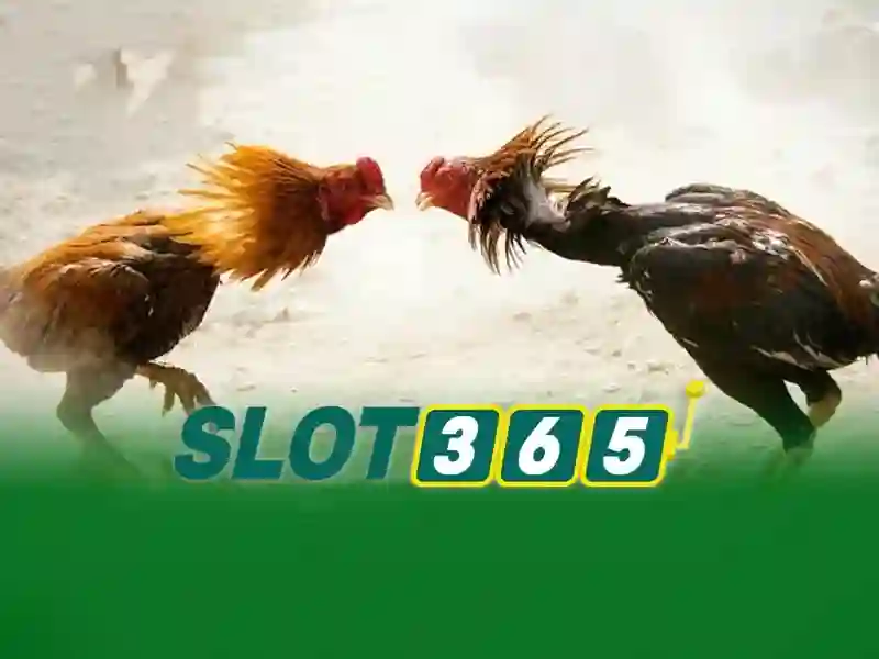 Cách đăng ký và bảo mật tại Slot365