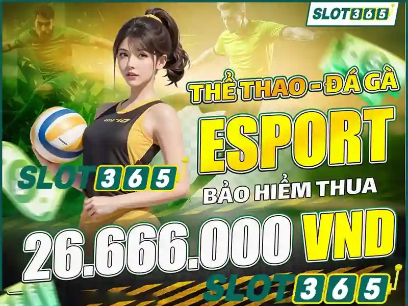 Danh mục trò chơi và nhà cung cấp