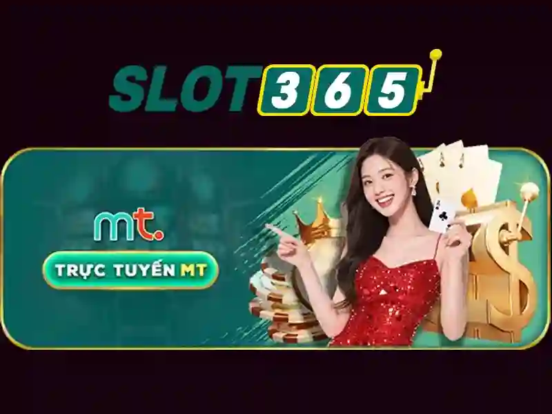 Trải nghiệm người dùng và giao diện
