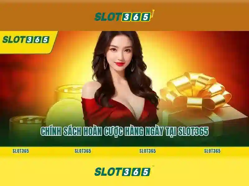 Giao diện và trải nghiệm người dùng