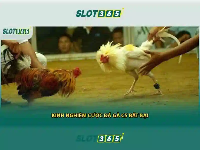 Trải nghiệm di động và hỗ trợ