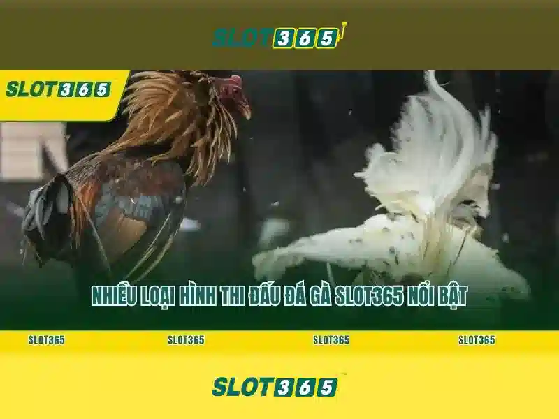 Slot365_contact