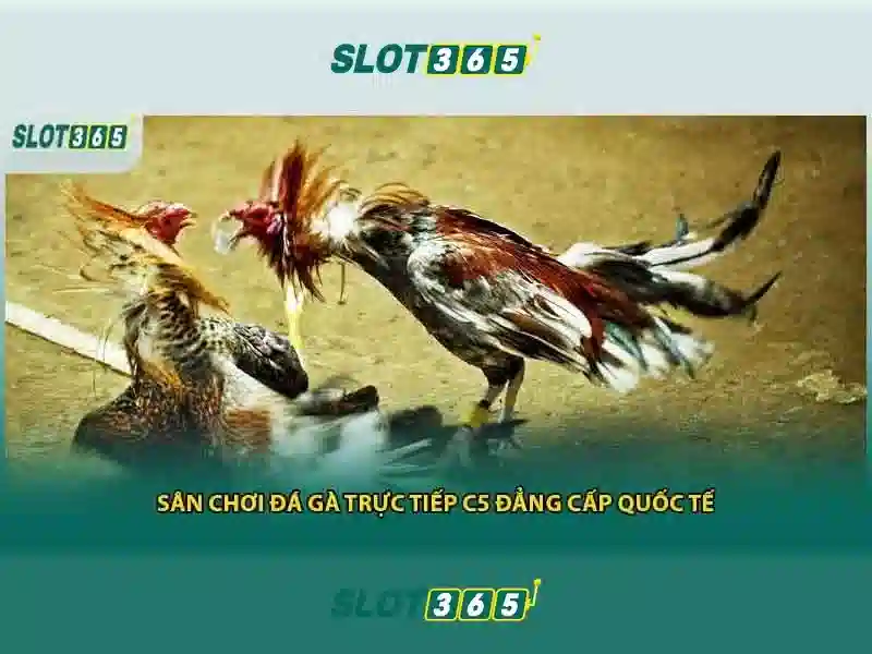Khuyến mãi và thanh toán