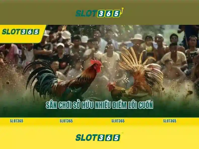 An toàn và công bằng