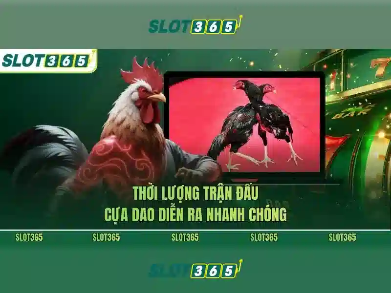 An toàn và công bằng