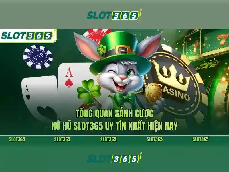 Nền tảng Slot365 và trải nghiệm người dùng