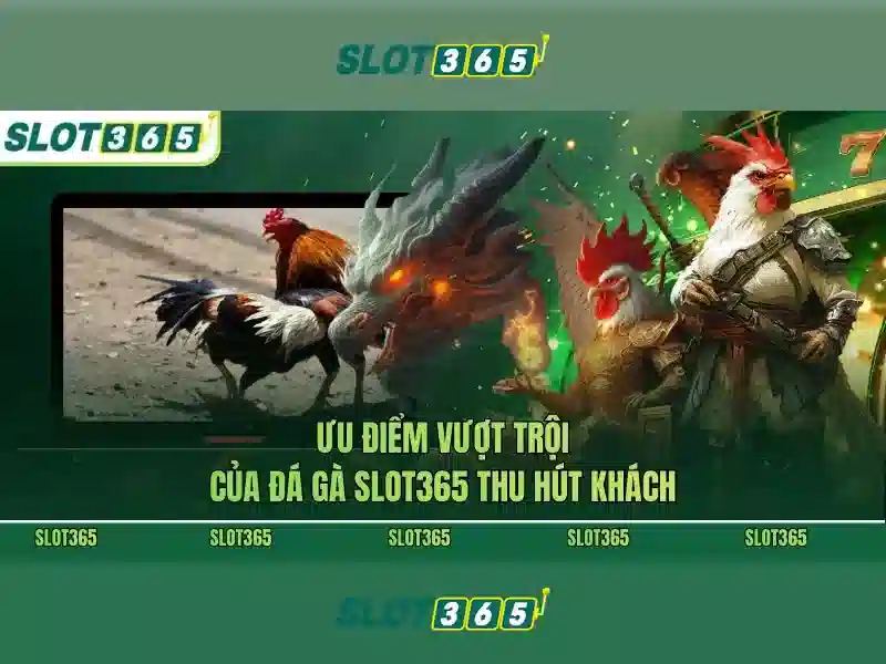 Giao diện nhà cái hoàn hảo