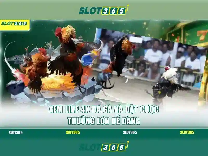 Trò chơi và thư viện