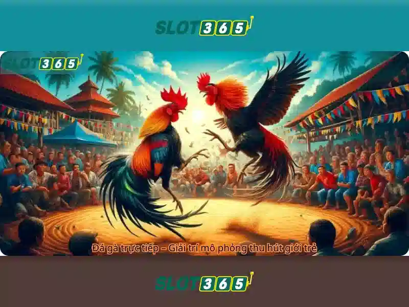 Phân tích kết quả cược