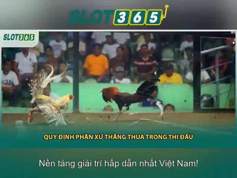 Giao diện nhà cái hoàn hảo
