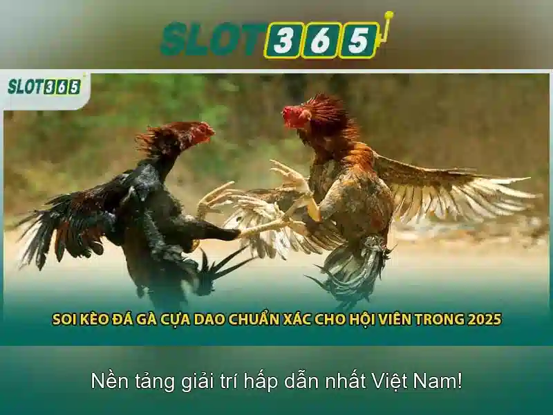 Slot365 là gì?