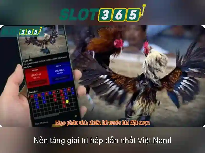 Slot365: Nền tảng slot online an toàn và hấp dẫn Giao diện nhà cái hoàn hảo