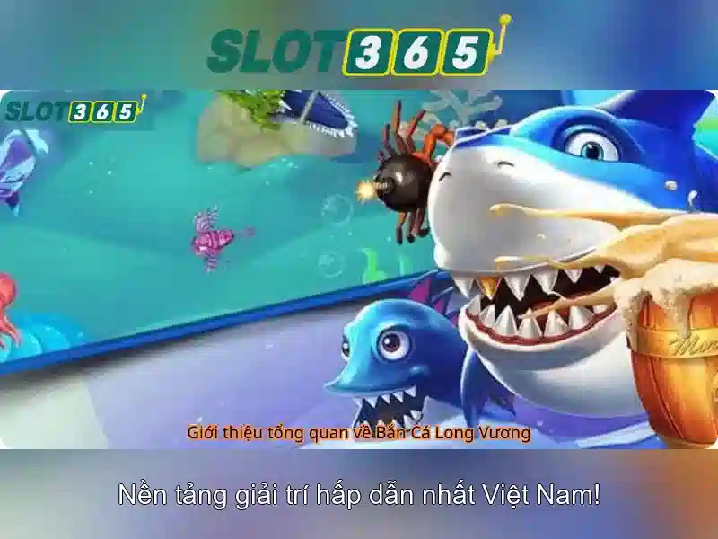 Trải nghiệm người dùng và khả năng tương thích