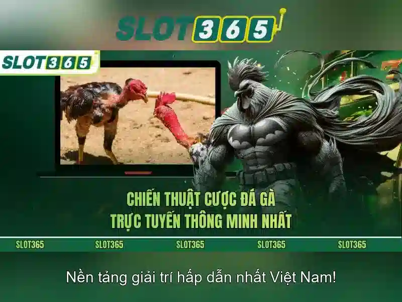 Khuyến mãi và chương trình thưởng