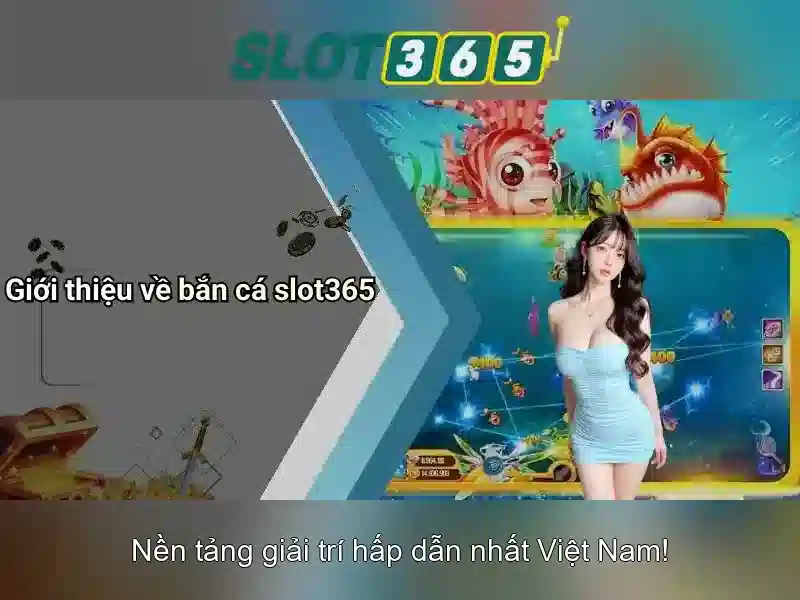 'Slot365 Tổng quan'