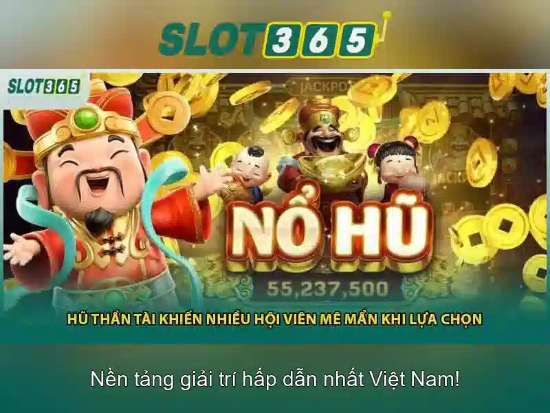 Trải nghiệm người dùng và giao diện