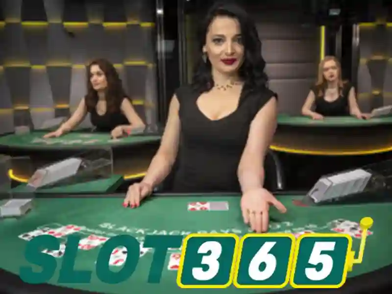Slot365 là gì?