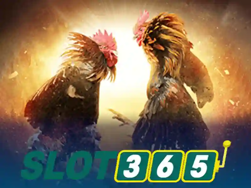 An toàn và thanh toán tại Slot365